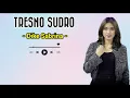 Download Lagu DIKE SABRINA - TRESNO SUDRO || VIDEO LIRIK