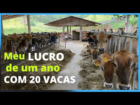 Download MP3 Quanto ganho em um ano com 20 vacas leiteiras.