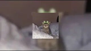 MIIA Dynasty Sped Up 