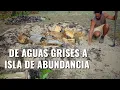 Lagu De AGUAS GRISES a un EPICO BOSQUE de ALIMENTOS - Permacultura \u0026 Sintropia en un Arenal
