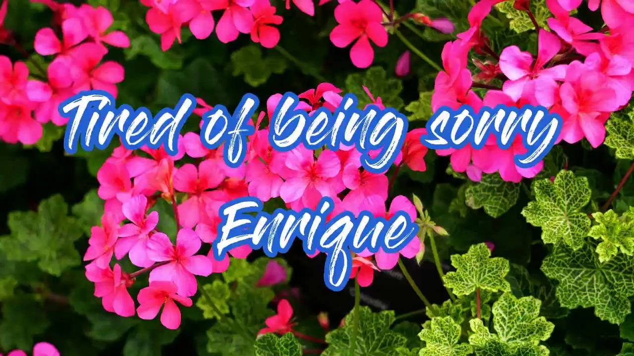 Enrique Iglesias - Tired Of Being Sorry(Lyrics)