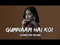 Lagu Gumnaam Hai Koi | Badnam Hain Koi (slowed and reverb) Horror Trep | Bollywood Song|Lo-fi mix song | 