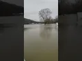 2019 Tennessee River flood at Perryville