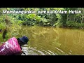 Download Lagu Membangunkan semula Kolam Hutan.