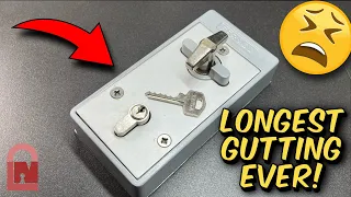 Fermod Freezer Door Tesa Lock Pick and Gut