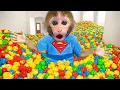 Download Lagu Monyet Bon Bon Imut memanen semangka di peternakan untuk membuat jus dan mandi busa bersama sapinya
