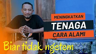 Download CARA ALAMI‼️meningkatkan tenaga MP3