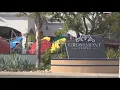 Shop owners address rumors on the fate of Grossmont Center