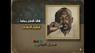 شالت العقل معاها     ابراهيم الصافي     مرسكاوي  دندنها