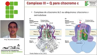 Cadeia transportadora de elétrons e Fosforilação oxidativa - parte II