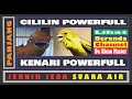 MASTERAN SUARA CILILIN VS KENARI PANJANG POWERFULL JERNIH JEDA SUARA AIR MASTERAN MURAI BATU