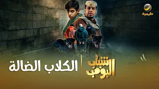 مسلسل شباب البومب الكلاب الضالة الحلقة الكاملة دندنها