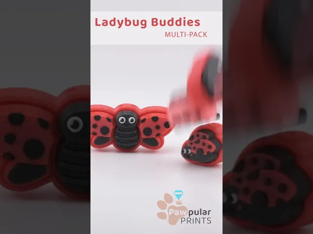 Ladybug Buddies video thumbnail