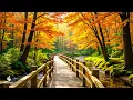 Download Lagu Mooie ontspannende muziek 🍁 Zachte herfstklanken voor ontspanning en meditatie