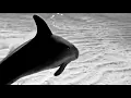 Feel Your Weight ( Poolside RemiX ) - RhYe
