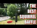 New Improved Squirrel Baffle 2020 ONLY 10