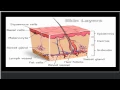 Millennium Education - SKIN do you fit in to yours