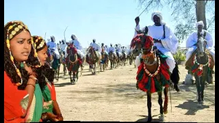 ابراهيم ادريس الليلة ماشه وين ياطير الكيرواني 