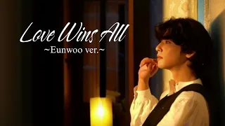 Download CHA EUN-WOO - Love Wins All by IU [AI COVER] MP3