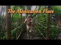 Download Lagu The Meditation Flute