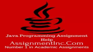 Java Programming Assignment Help