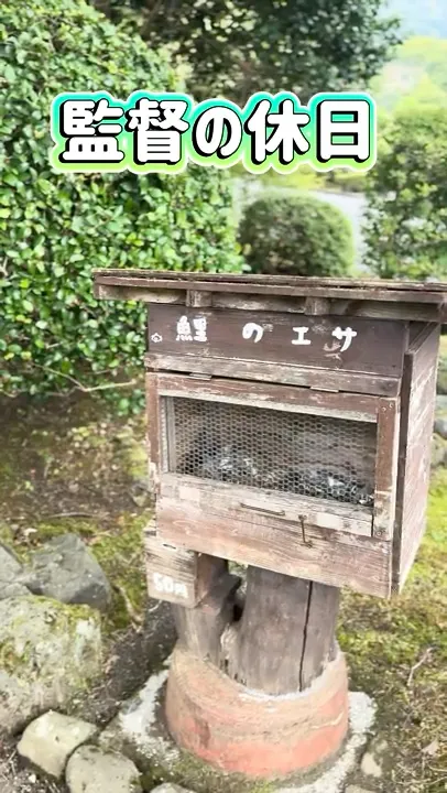 監督の休日［餌やり編］