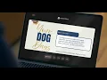 How to Organize Your Dog s Health and Daily Routine with Your Dog Days