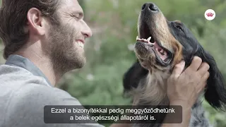 Royal Canin Digestive Care tápok kutyáknak | Petissimo