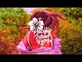 Novo Amor - Colourway [Zombie Chill ReMix] 2026