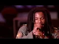 Bob Marley´s Family (HD Live) - Could you be loved (AMAZING!!!!)