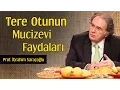 Download Lagu Tere Otunun Mucizevi Faydaları | Prof. İbrahim Saraçoğlu