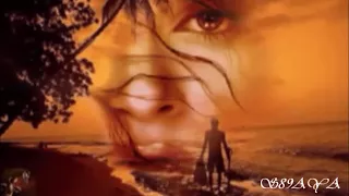 سعدون جابر البارحه 