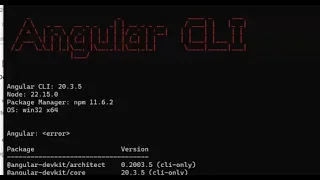 Angular project