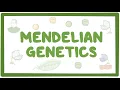 Mendelian genetics and Punnett squares
