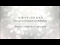 Yoon Sang Hyun - Helpless Love Lyrics (My Fair Lady Drama OST)