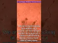 AI vs Humans Massive Space Weather Forecast Disagreement