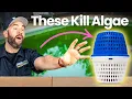 How to STOP POOL ALGAE From Coming Back Minerals Ionizers Algaecide