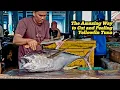 Download Lagu The Amazing Way to Cut and Peeling Yellowfin Tuna