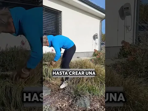 ¿Por Qué Trenzan El Césped Así? 🤯🌱