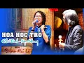 Download Lagu Hoa Học Trò - Cô Ngọc Nhung e ấp bên chú Bình ấm áp | Bolero Mái Lá - Đêm Nhạc Thứ 7