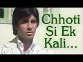 Download Lagu Chhoti Si Ek Kali Khili Thi | Jurmana (1979) Song | Rakhee | Amitabh Bachchan | Lata Mangeshkar