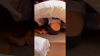 Why is she hiding under the bed?! #liveaboard #ourladydefiant