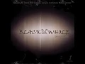 Blackwhole - King of the Surface (House Music)