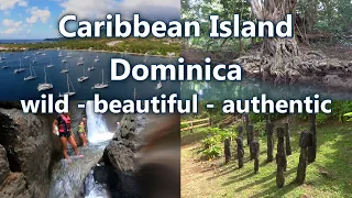 Ep 22: Caribbean Island Dominica