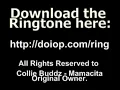 Mamacita - Collie Buddz