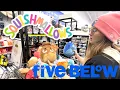 FIVE BELOW SQUISHMALLOW EVENT Fantasy Squad and Pre-historic Squad