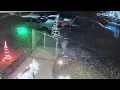 Christmas tree theft Dec 13 2020 Minneapolis