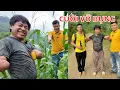 Download Lagu Chuyện Lạ Có Thật A Và Chim Cánh Cụt Bất Ngờ  Buồn Vui Lẫn Lộn l A Nông TV official