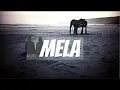 Shakka - Rollin 'Walking with elephants feat Frisco' (HQ)