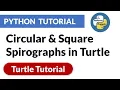Circular Square Spirographs in Turtle Turtle Python Tutorial PyPower